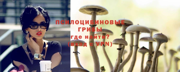 метадон Инта